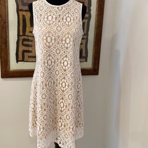 Metaphor Lace Dress